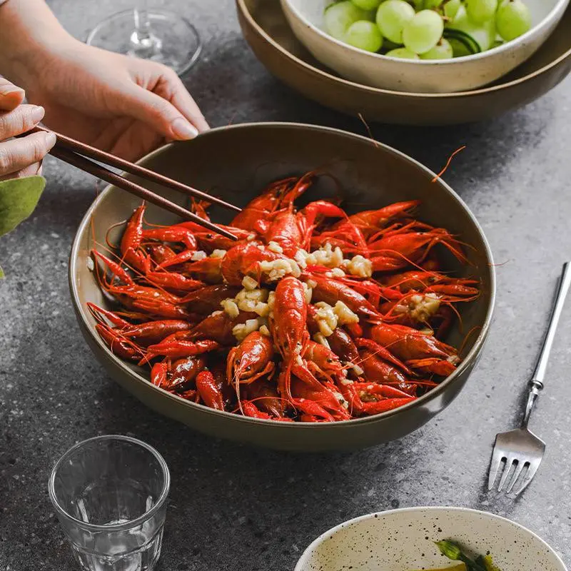 Kitchen Plus Japanese Retro Coarse Pottery Ceramic Tableware Serving Bowl Pasta Bowl Soup Bowl KP805 - Image 7